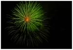 Highlight for Album: 4th of July at Oceanside
