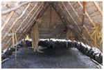 Halau at National Historic Park
PC- DSC0035