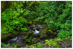 water in Waipi'o Valley
PC- DSC0038