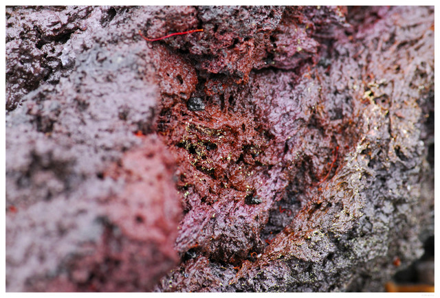 macro of lava, Hawaii Volcanoes National Park
PC- DSC0120