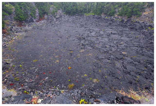 Kilauea Iki Crater
PC- DSC0129