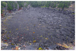 Kilauea Iki Crater
PC- DSC0129