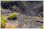 Pu'u Huluhulu
PC- DSC0141