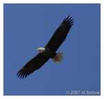 PC-DSC_3436.jpg