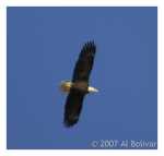 PC-DSC_3448.jpg