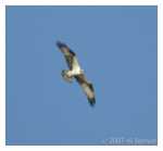 PC-DSC_3503.jpg