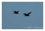 PC-DSC_3543.jpg