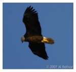PC-DSC_3598.jpg