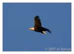 PC-DSC_3675.jpg