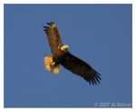 PC-DSC_3687.jpg