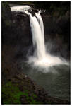 Highlight for Album: Snoqualmie Falls and Skagit Valley Tulip Festival
04/21/06