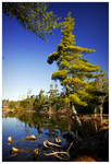 Eagle Pond Acadia National Park, ME
PC- DSC0005