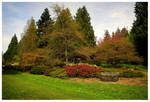 Highlight for Album: Bellevue and Seattle, WA and San Juan Island04/19 - 04/22/06